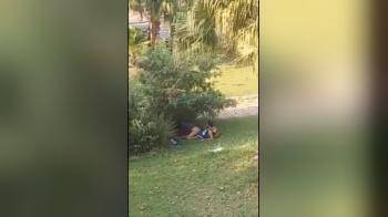 video of Horny couple couldn t wait any longer and really go for it in the park