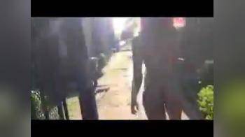 video of black chick streaks outside