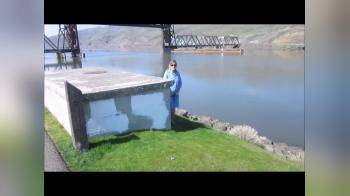 video of bushy flash by the bridge