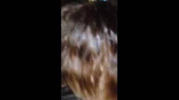 video of Tattooed hooker deepthroats her client