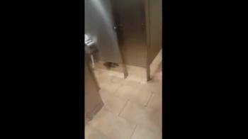 video of lesbians in public bathroom
