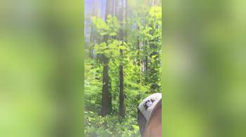 video of Milf sucks stranger while hiking