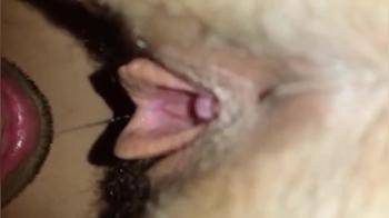 video of Pov eating wifes pussy