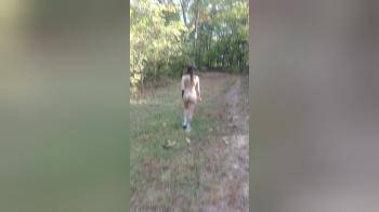 video of a walk in the woods