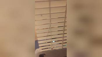 video of Upstairs Neighbor Thru the Window