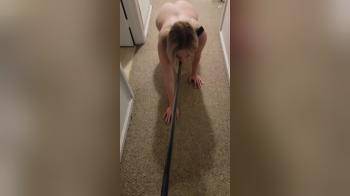 video of Went for a walk leashed and collared