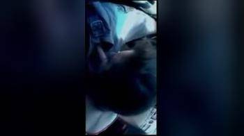 video of sucking cock in car