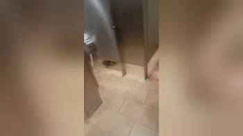 video of Is this why women go to the restroom together