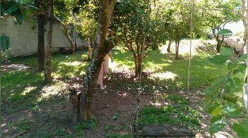 video of Mel playing in the orchard