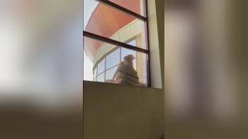 video of caught fucking on balcony