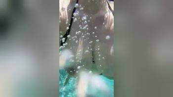 video of out for a swim