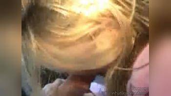 video of blonde car bj and sex