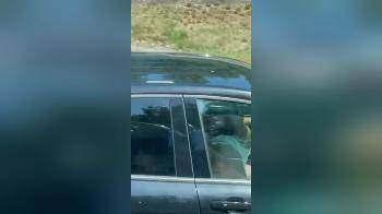 video of Blow job while driving
