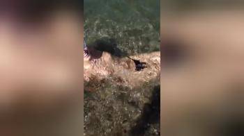video of topless girl in the sea