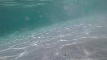 video of Voyeur at the beach watches girls underwater and wants to stroke me