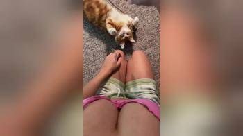video of pov playing with kitty