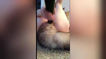 video of Girl inserting foxy tail