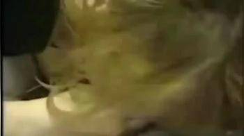 video of Cum loving sluts old vhs 19