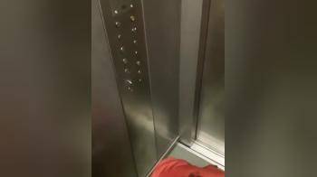 video of 3 horny sluts blow 1 lucky guy in the lift