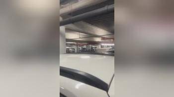 video of Amateru couple having car sex