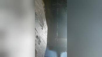video of Amazing Roadside BJ and Sex