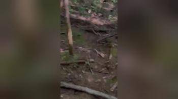 video of Outdoor Blowjob Baby