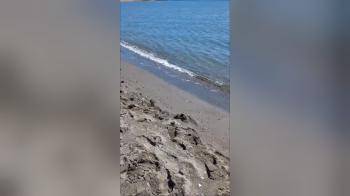 video of Doing Beach Topless Sunbathing
