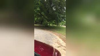 video of meeting side piece at the park