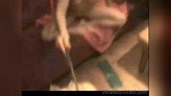 video of Amateur porn