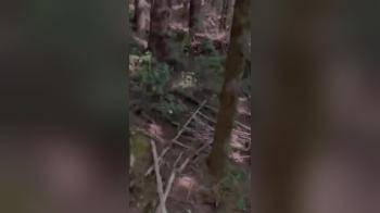 video of Date ends with public blowjob