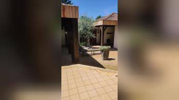 video of What kind of party place is this