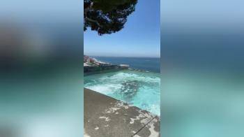 video of Some really big floppies