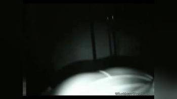 video of Night swallow