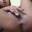 Prev