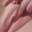 Prev