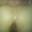 Prev