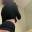 Prev