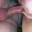 Prev