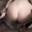 Prev