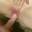 Prev