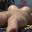 Prev
