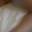 Prev